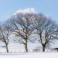 Buy canvas prints of Majestic Winter Wonderland by Jeremy Sage