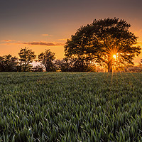 Buy canvas prints of Enchanting Sunset Over Kent by Jeremy Sage