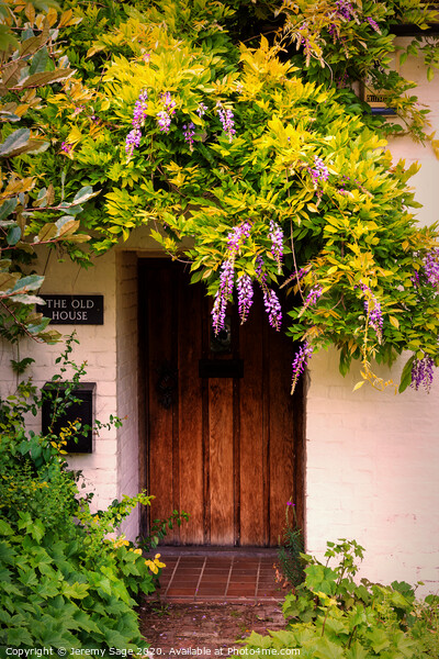 Enchanting Wisteria Entrance Picture Board by Jeremy Sage