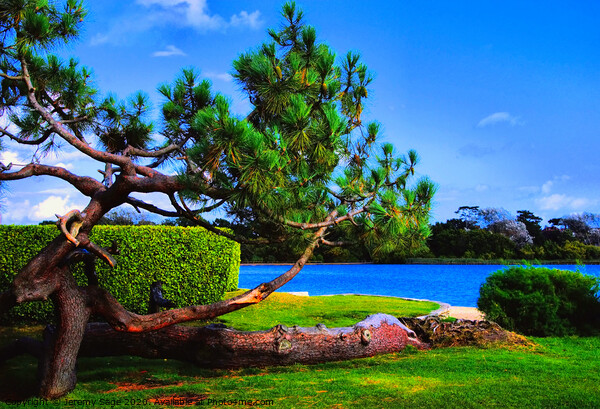 Enchanting Poole: A Blue Lagoon Paradise Picture Board by Jeremy Sage