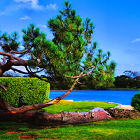 Buy canvas prints of Enchanting Poole: A Blue Lagoon Paradise by Jeremy Sage