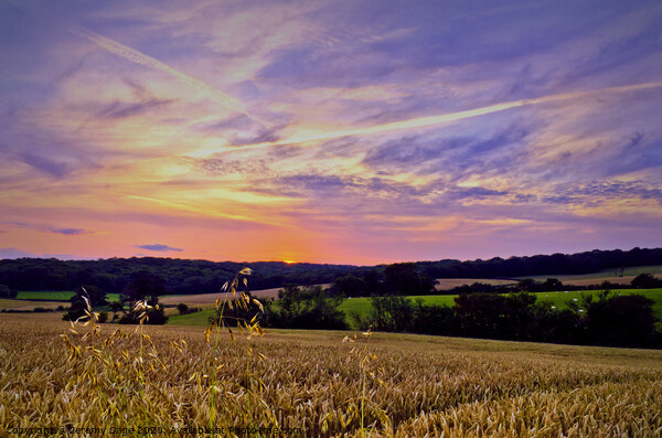The Magnificent Dusk of Bilsington Picture Board by Jeremy Sage