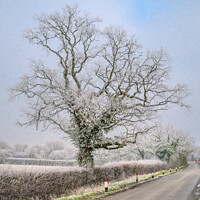 Buy canvas prints of A country lane by Jeremy Sage