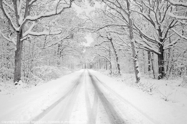 Serene winter wonderland Picture Board by Jeremy Sage