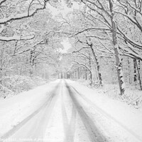 Buy canvas prints of Serene winter wonderland by Jeremy Sage