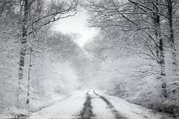 Enchanted Winter Wonderland Picture Board by Jeremy Sage