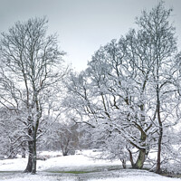 Buy canvas prints of Majestic Winter Wonderland by Jeremy Sage