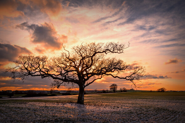 Splendid Winter Sunset Picture Board by Jeremy Sage