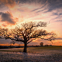 Buy canvas prints of Splendid Winter Sunset by Jeremy Sage