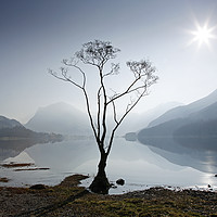 Buy canvas prints of Morning mist on Buttermere by Martin Lawrence