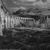 Buy canvas prints of Glenfinnan Viaduct  by phil pace