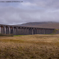 Buy canvas prints of Ribblehead Viaduct by phil pace