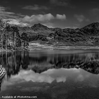 Buy canvas prints of Blea Tarn in Monochrome by phil pace