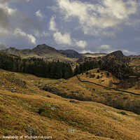 Buy canvas prints of Blea Tarn view by phil pace