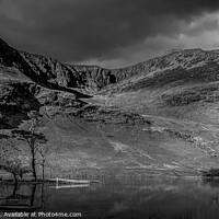Buy canvas prints of Buttermere pines by phil pace