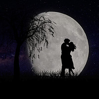 Buy canvas prints of The moonlight lovers by phil pace