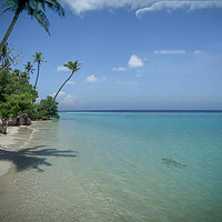 Buy canvas prints of Paradise on Kuredu island by phil pace