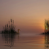 Buy canvas prints of Through The Reeds by phil pace