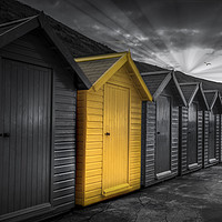Buy canvas prints of Beach Huts at Whitby by phil pace