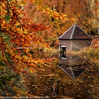 Buy canvas prints of Autumn reflections by Norman Ferguson
