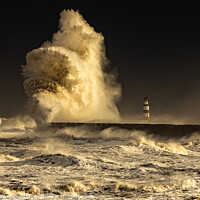 Buy canvas prints of Seaham Harbour Storm by Darren Johnson