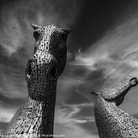Buy canvas prints of The Kelpies by Darren Johnson
