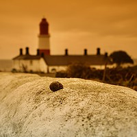 Buy canvas prints of Scouter Lighthouse  by Darren Johnson