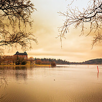 Buy canvas prints of Castle, Lake and Goldeneye by Jukka Heinovirta