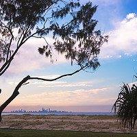 Buy canvas prints of Gold Coast Skyline Behind The Branches by Jukka Heinovirta
