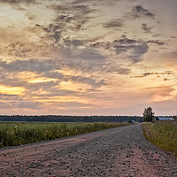 Buy canvas prints of Gravel Road In The Summer Sunset by Jukka Heinovirta