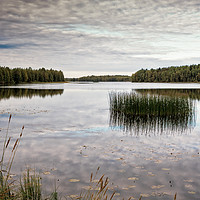 Buy canvas prints of Autumn At The Lake by Jukka Heinovirta