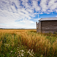 Buy canvas prints of Tiny Barn House On The Oat Fields by Jukka Heinovirta