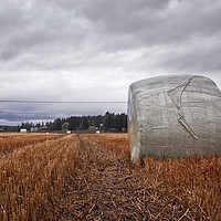 Buy canvas prints of Bale of Hay on the Autumn Fields by Jukka Heinovirta