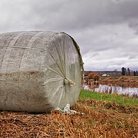 Buy canvas prints of Roll Bale By The River by Jukka Heinovirta