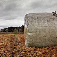 Buy canvas prints of Hay Roll Under The Autumn Skies by Jukka Heinovirta