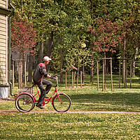 Buy canvas prints of Park Worker Riding a Bike with a Rake by Jukka Heinovirta