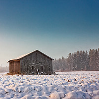 Buy canvas prints of Morning Mist And An Old Barn House by Jukka Heinovirta