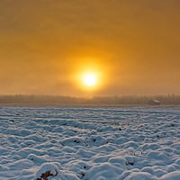 Buy canvas prints of Snowy Fields In The Winter Sunrise by Jukka Heinovirta