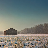 Buy canvas prints of Morning On The Snowy Fields by Jukka Heinovirta