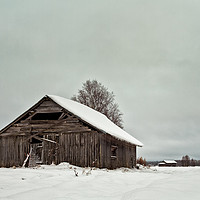 Buy canvas prints of Barns On The Snowy Fields by Jukka Heinovirta