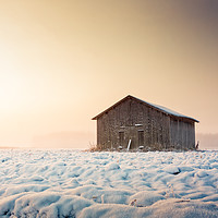 Buy canvas prints of Sunrise And Mist Over The Snowy Fields by Jukka Heinovirta