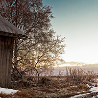 Buy canvas prints of Winter Sun Sets Behind an Old Barn House by Jukka Heinovirta