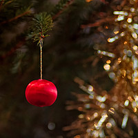 Buy canvas prints of Tiny Bauble On A Christmas Tree by Jukka Heinovirta
