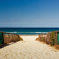 Buy canvas prints of Path to the Beach in Australia by Jukka Heinovirta