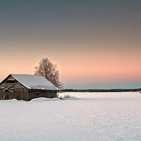 Buy canvas prints of Lonely Barns On The Snowy Fields by Jukka Heinovirta