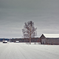 Buy canvas prints of Snowy Road To The Forest by Jukka Heinovirta