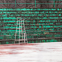 Buy canvas prints of Crow On A Snowy Tennis Court by Jukka Heinovirta