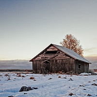 Buy canvas prints of Abandoned Barn House In The Early Winter Sunset by Jukka Heinovirta