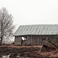 Buy canvas prints of Barn House On The Rainy Fields by Jukka Heinovirta