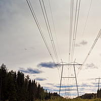 Buy canvas prints of Power Lines Over The Fields by Jukka Heinovirta